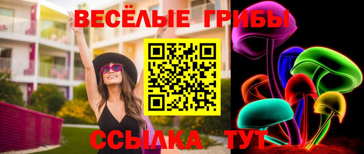 Псилоцибиновые грибы мицелий Спасск-Дальний